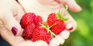 Bouton d-urticaire : reconnaitre une allergie aux fraises
