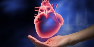 Vitamine D : comment elle protege notre cœur