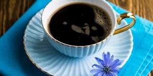 Chicoree : une bonne alternative au cafe ?