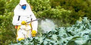 Pesticides : les fruits et les legumes les moins contamines