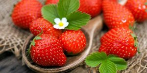 Boutons : un symptome d-allergie aux fraises