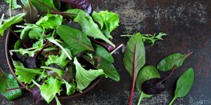 Listeria : rappel de salades jeunes pousses Nature Bio