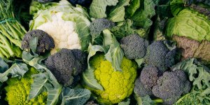 Manger ce type de legumes permettrait d’ameliorer la sante pulmonaire