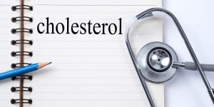Cholesterol HDL et LDL : lequel reduire, lequel augmenter ?