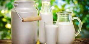Les symptomes de l-allergie alimentaire au lait
