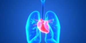 Hypertension arterielle pulmonaire : les symptomes