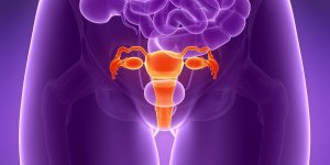 Les 9 maladies de l-uterus les plus frequentes