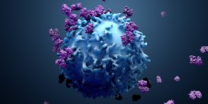 Covid-19 : certains malades developperaient des anticorps au bout de 15 jours 