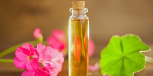 Les proprietes de l-huile essentielle de geranium rosat