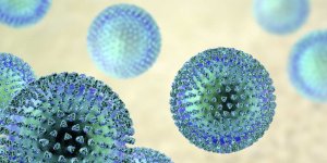 Sclerose en plaques : le virus de la mononucleose en cause