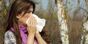 Allergies : pourquoi sont-elles en hausse ?