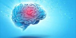 Cerveau : 7 habitudes qui lui nuisent selon un neurologue