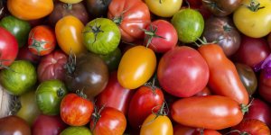 Jean-Michel Cohen : “2 tomates par jour diminuent de 20 % le risque de cancer”