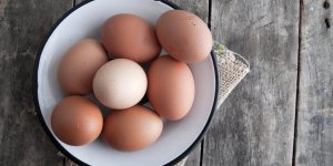 Regime cholesterol : combien d-œufs par semaine maximum ?