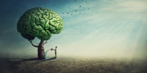 Alzheimer : l’astuce du Dr Michael Mosley pour proteger son cerveau 