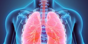 Cancer du poumon : le cancer de la plevre