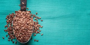 Graines de lin anticholesterol : comment les consommer