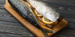 Maquereau et sardine : des poissons anti cholesterol