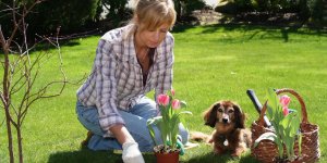 Maladie de Crohn : vivre avec un chien pourrait etre une protection contre maladie 
