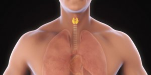 Nodule thyroidien chaud ou froid : la difference