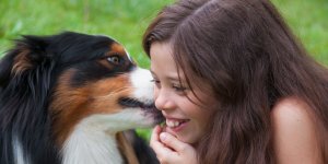 Se faire lecher le visage par son chien : existe-t-il un risque ou non ?