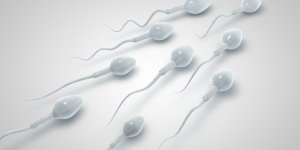 Sperme : la difference entre le liquide seminal et preseminal