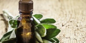 Aromatherapie : l-huile essentielle de sauge sclaree contre la transpiration