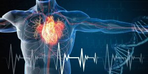 Maladie cardiovasculaire : les nuits tres chaudes augmentent les risques de deces