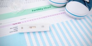 Comment identifier la periode de fertilite chez la femme ?