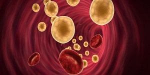 Cholesterol : pourquoi tester le taux de HDL ?