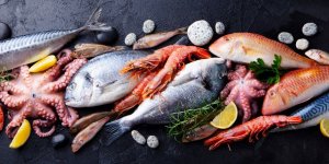 5 poissons sains a consommer sans risques selon un dieteticien