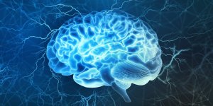 Cerveau : 14 aliments qui nuisent a la memoire