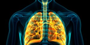 Covid : des faux poumons infectes par des chercheurs pour mieux etudier le virus