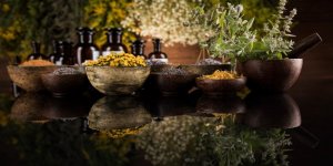 Phytotherapie : 9 plantes medicinales a faire pousser 