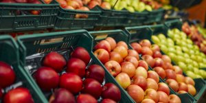 Les fruits qu’il vaut mieux consommer bio en 2024