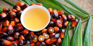 17 aliments qui contiennent de l-huile de palme