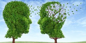 Alzheimer : 5 bonnes habitudes pour retarder la maladie de 6 ans