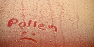 Allergie aux pollens : 20 departements en alerte rouge