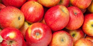 Coeur, diabete, dents… Voici 5 raisons de manger des pommes 