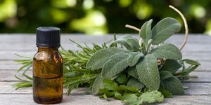 Maladie de Lyme : les traitements aux huiles essentielles
