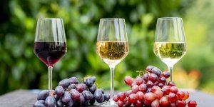 Vin : les 5 regions francaises ou l’on en boit le plus