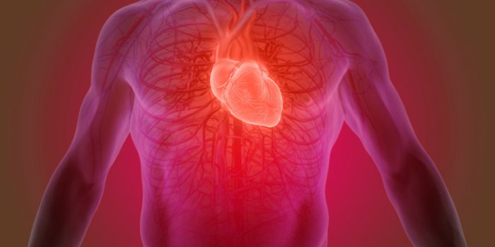 Maladies cardiaques prématurées : le mode de vie (et non la génétique) serait en cause !