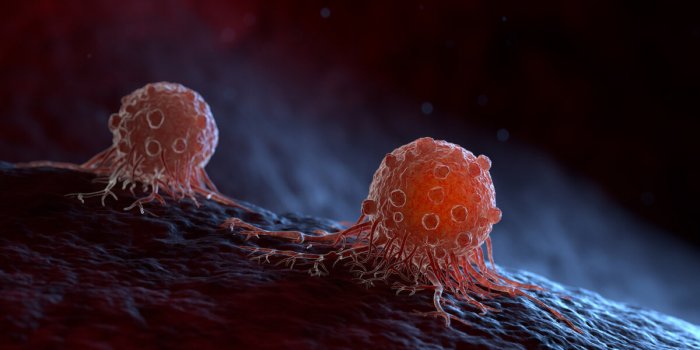 cancer cells can migrate to other body tissues or organs building metastasis 3d illustration