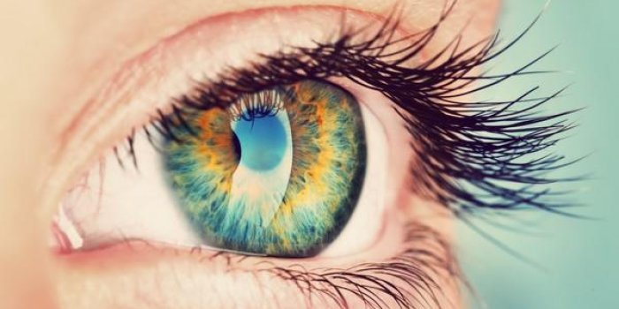 Couleur des yeux : ce qu'elle révèle de votre santé