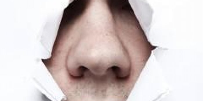 Pourquoi les hommes ont un nez plus large que les femmes ?
