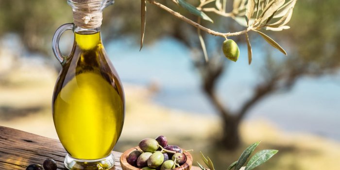 Comment l'huile d'olive peut vous permettre de vivre plus longtemps