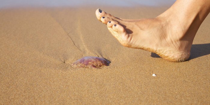 femme pied prêt à pousser une méduse dans une plage