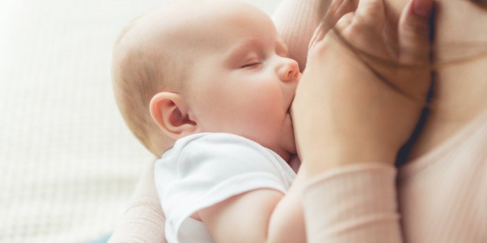 Allaitement : partager son lait maternel peut-il rendre plus fertile ?