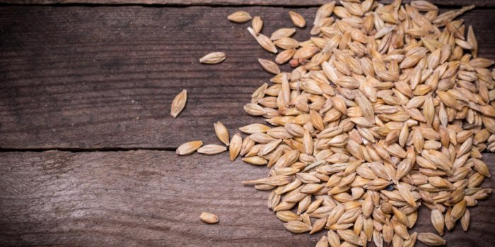 Une poignée de cette graine par jour réduit le taux de sucre dans le sang