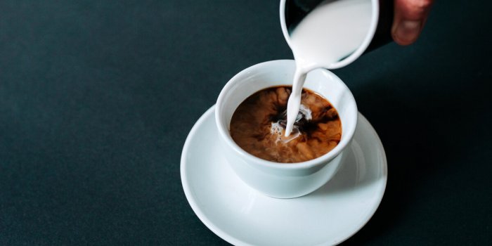 Cholestérol : 3 aliments surprenants que vous pouvez ajouter à votre café pour le contrôler